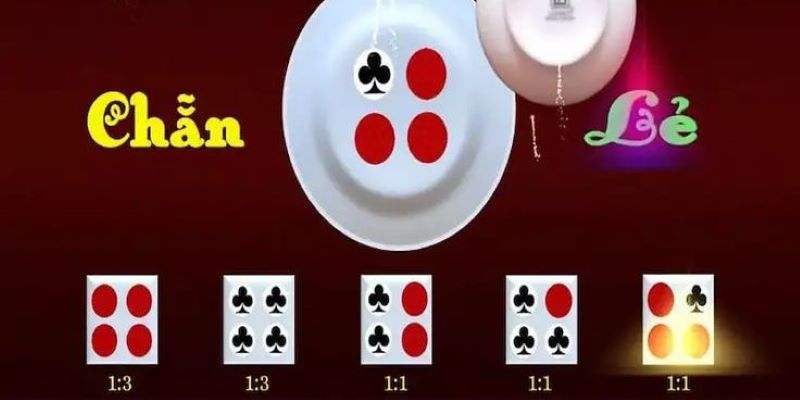 Xóc Đĩa Bịp: Cách Nhận Biết Những Mánh Khóe Gian Lận 5 Quan sát người chơi khác để phát hiện xóc đĩa bịp