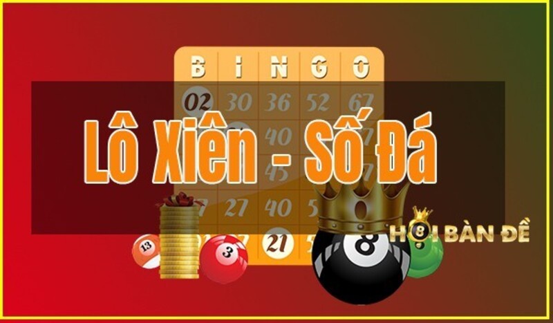 soi cau khanh hoa dua vao giai bay