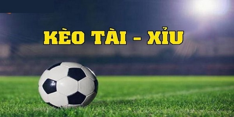 Thống Kê Tài Xỉu Trong Bóng Đá Chính Xác Nhất Hiện Nay 4 thong ke tai xiu trong bong da chinh xac keo the phat
