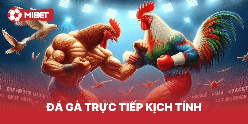 Mibet - Nhà Cái Cá Cược UY Tín #1 - Đại Lý Bong88 và Bongk 9 Đá gà trực tiếp kịch tính