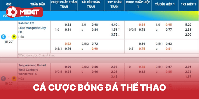Mibet - Nhà Cái Cá Cược UY Tín #1 - Đại Lý Bong88 và Bongk 6 Thể thao thu hút đông đảo hội viên
