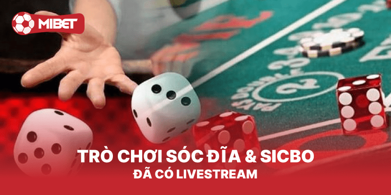 Mibet - Nhà Cái Cá Cược UY Tín #1 - Đại Lý Bong88 và Bongk 8 Quay hũ rồi chờ đợi điểm thưởng