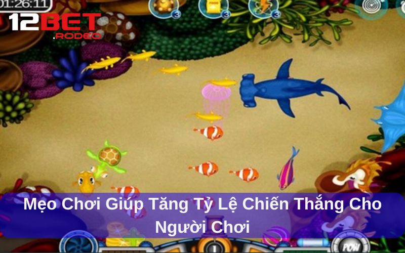 Askme Bắn Cá 12bet - Trải Nghiệm Săn Cá Đổi Thưởng Đỉnh Cao 4 Kinh nghiệm chơi Askme Bắn Cá 12bet hiệu quả